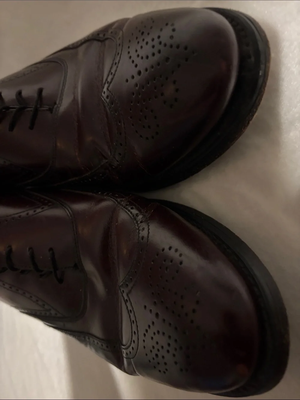 Bostonian Men's Dark Burgundy Leather Wingtip Oxfords